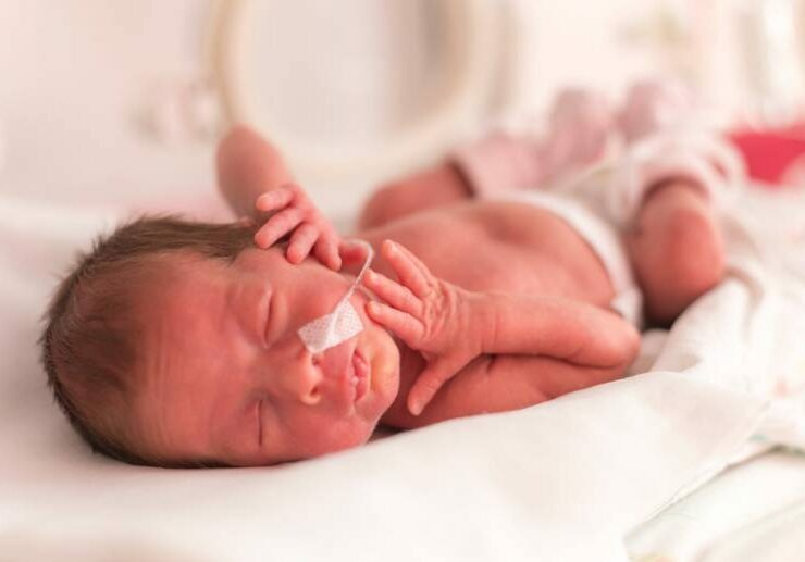 wcześniak w inkubatorze