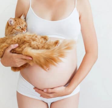 kobieta w ciąży trzyma rudego kota