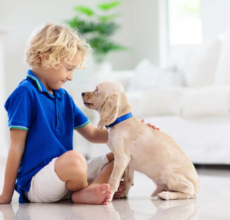 Mały chłopiec patrzy z czułością na łagodnego szczeniaka rasy spaniel – idealny przykład najłagodniejszego psa dla dziecka.