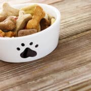 sucha karma dla psa w białej miseczce z łapką