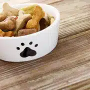 sucha karma dla psa w białej miseczce z łapką