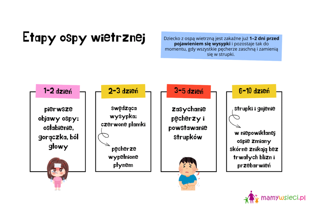 Etapy ospy wietrznej grafika